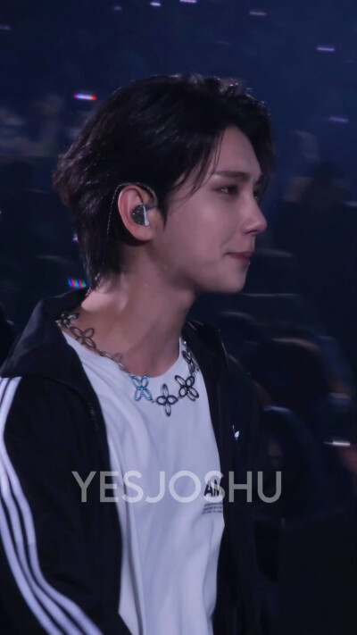 洪知秀 seventeen