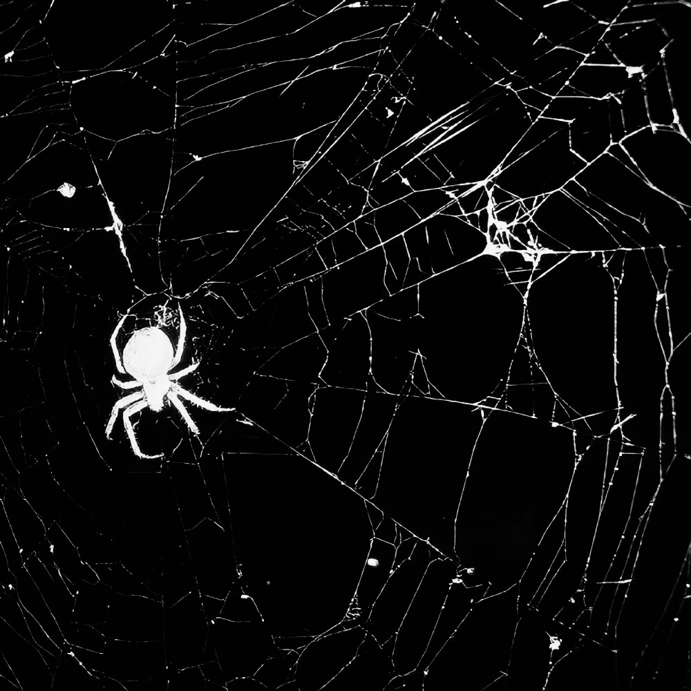 그녀의 미간은 늘 슬프다