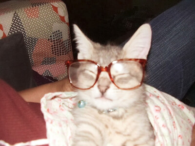 ˳˚✞ ̩͙ 療愈院 ‧₊˚♡