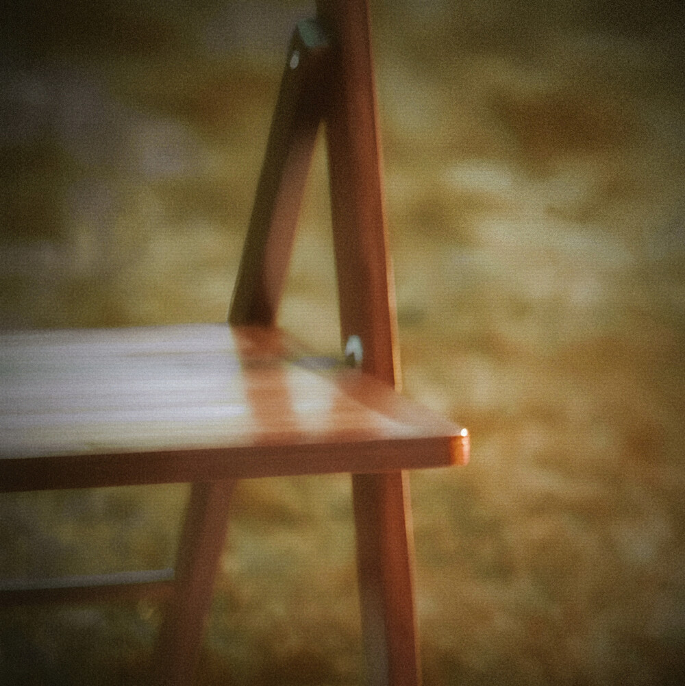 Le tournesol、向日葵的选项＂我的身边Al mio fianco