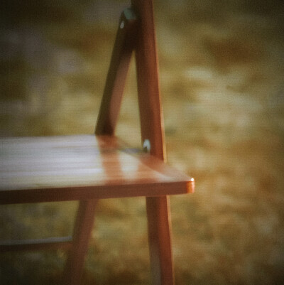 Le tournesol、向日葵的选项＂我的身边Al mio fianco