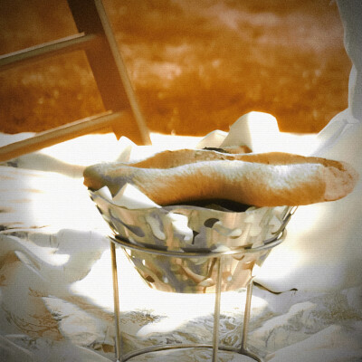 Le tournesol、向日葵的选项＂我的身边Al mio fianco