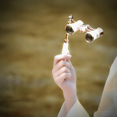 Le tournesol、向日葵的选项＂我的身边Al mio fianco