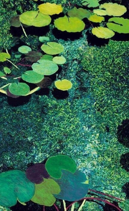 艺术家 Allan P Friedlander
