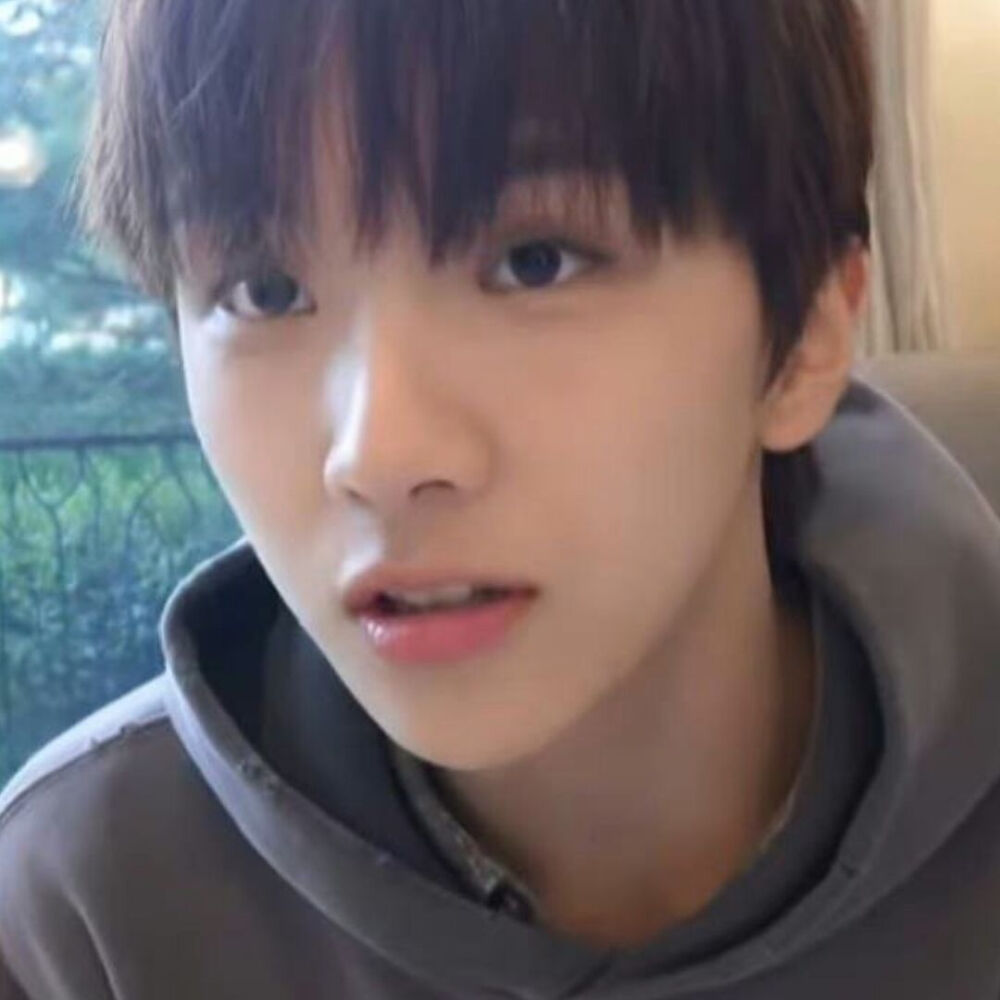 还只是幼年熊一只