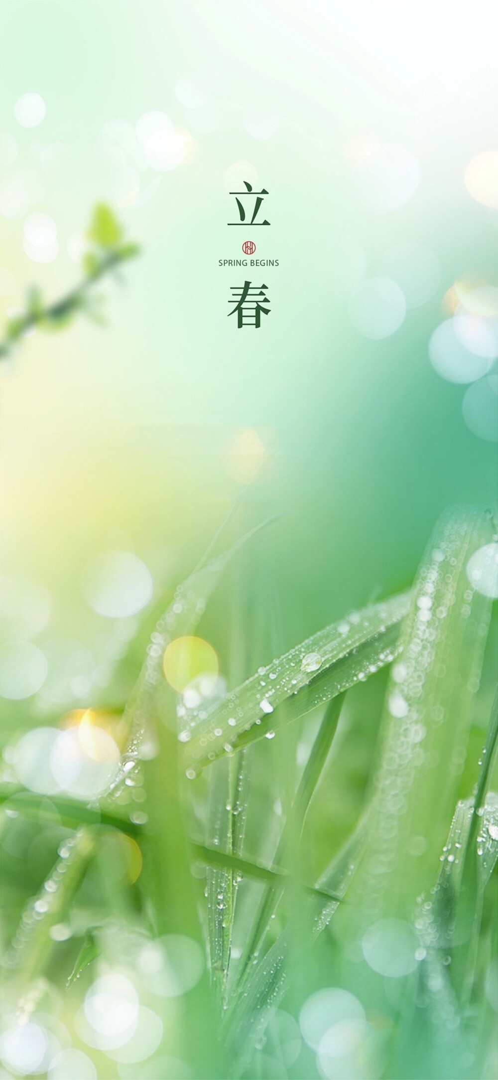 立春