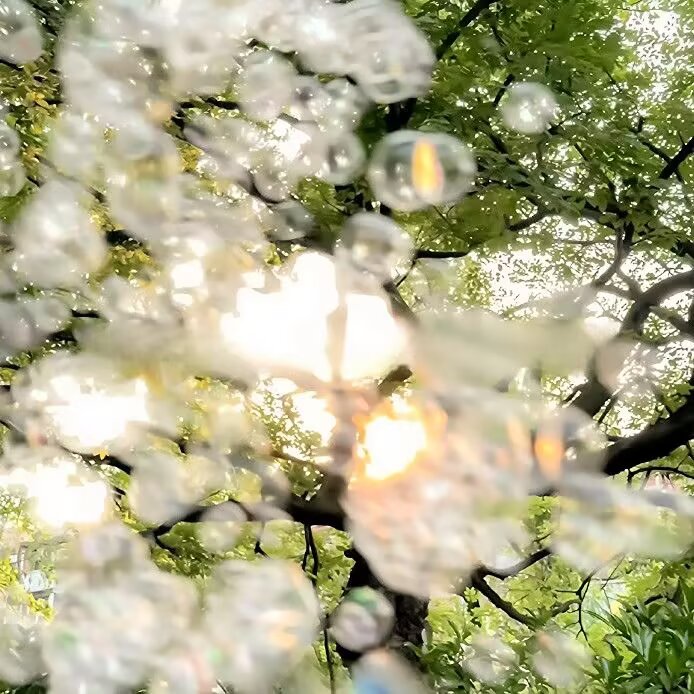 世中逢尔 雨中逢花
