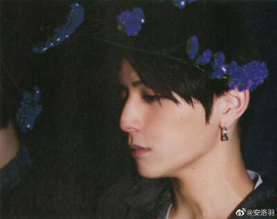山田凉介