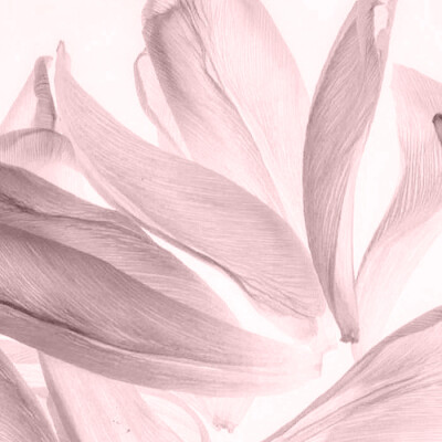 不要伤心 小猫会一直陪着你