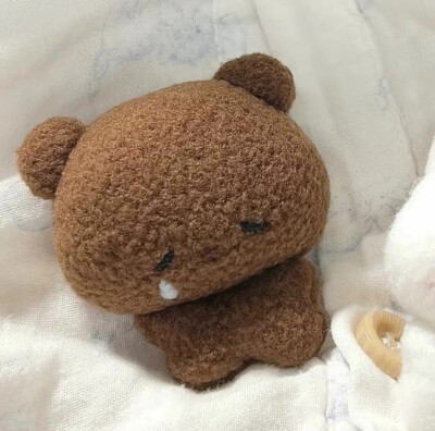 毛茸茸