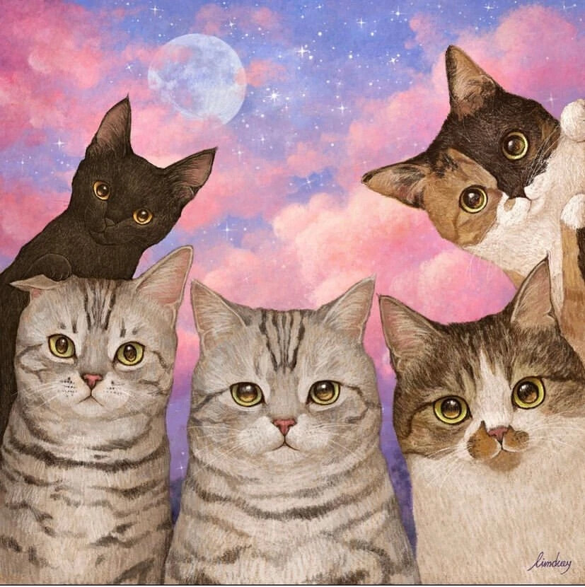 插画师 Limduey 一组喵喵插画
