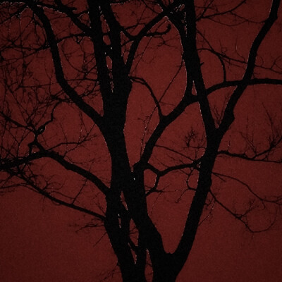 ｡༒｡天使實驗體♱°࿐