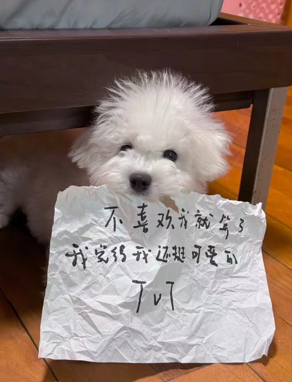 买个萌
