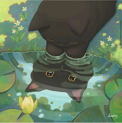 插画师 Limduey 一组喵喵插画
