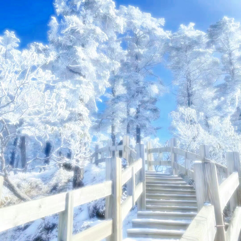 处吗没有房子但个性签名可以写你名字