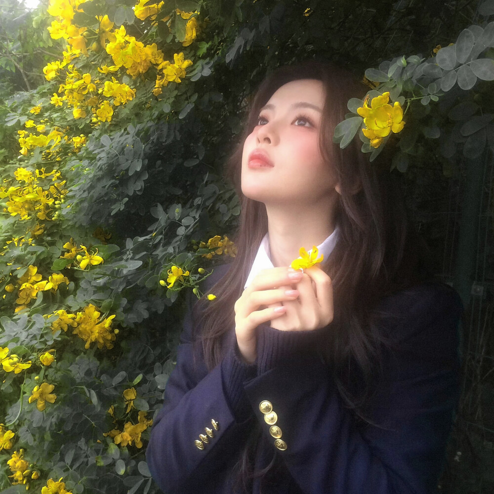 
故事的小黄花
