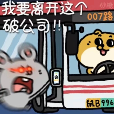 ©美叽和大鼠