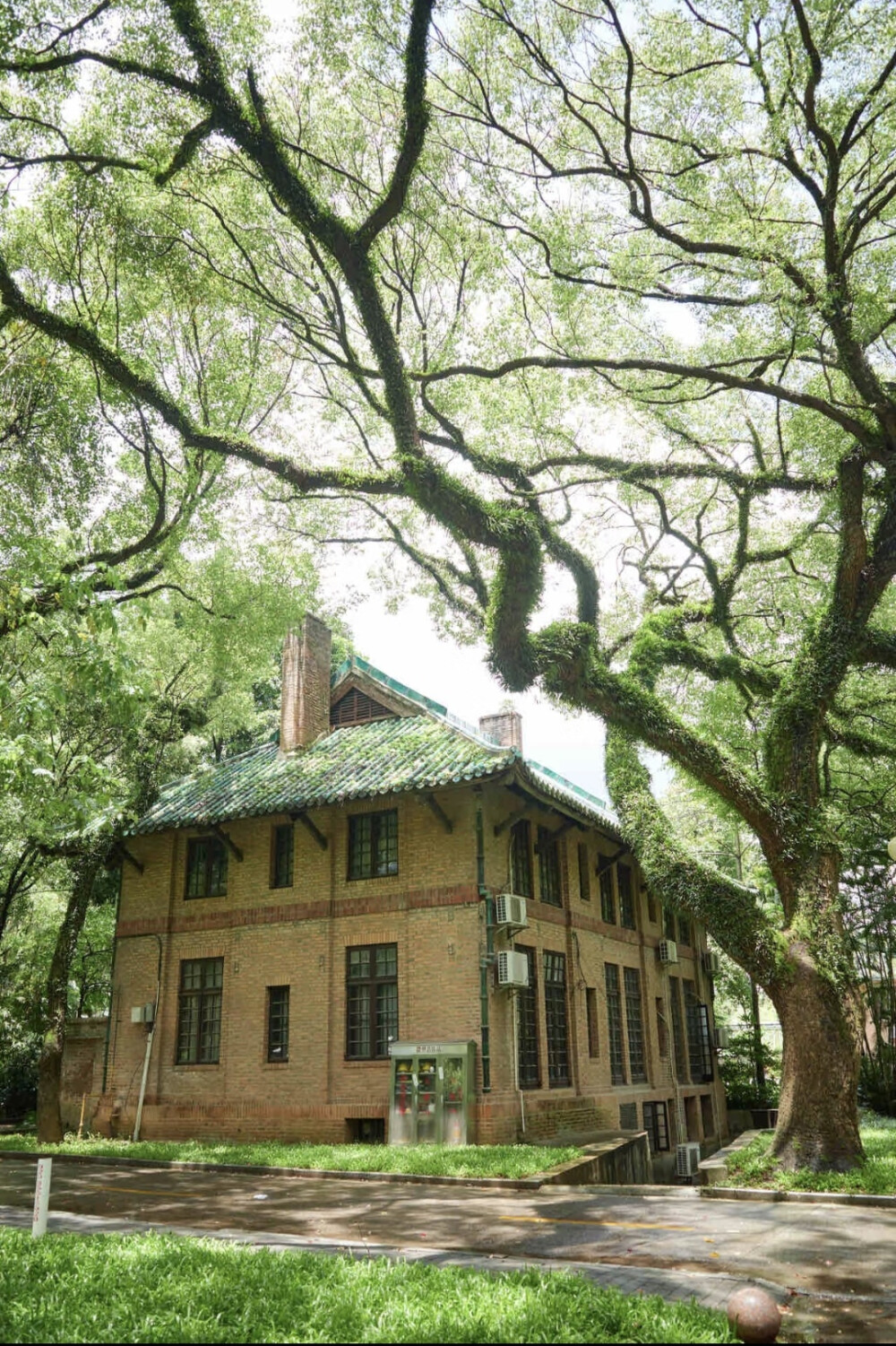 照片拍摄于广州的中山大学南校区，中山大学公众号可以预约周六日参观！图片定位在校训右手边往前走一点点～（来自小红书一只鱼鱼拍摄）