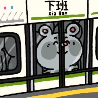 ©美叽和大鼠