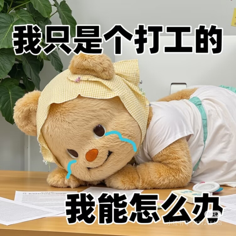 我只是个打工的