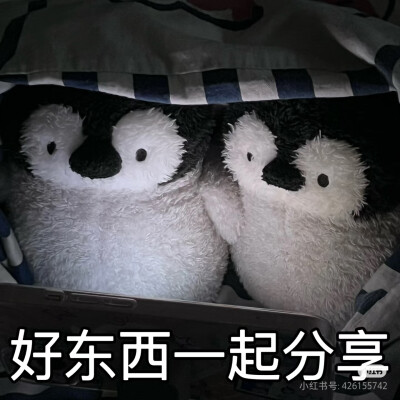 好东西一起分享