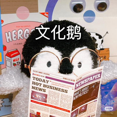 文化鹅