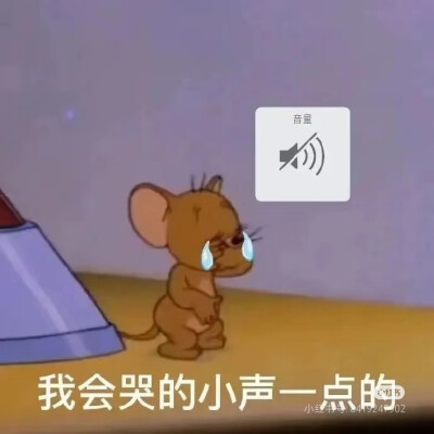 我会哭的小声一点的