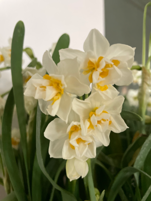 0°-花·草·树木