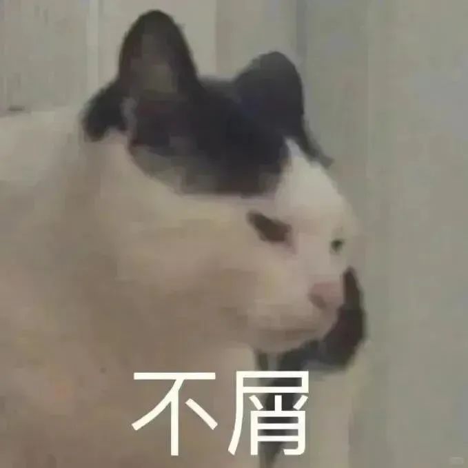 猫猫表情包