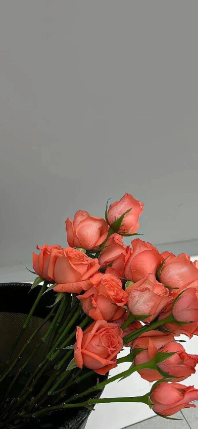 各种风格的壁纸