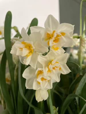 0°-花·草·树木