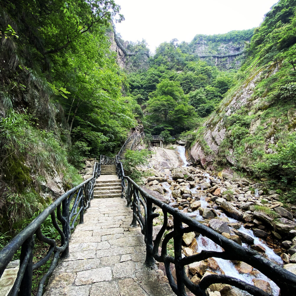 我应该是一棵参天大树 不需要靠山 也不能哭哭啼啼 能遮住所有苦难