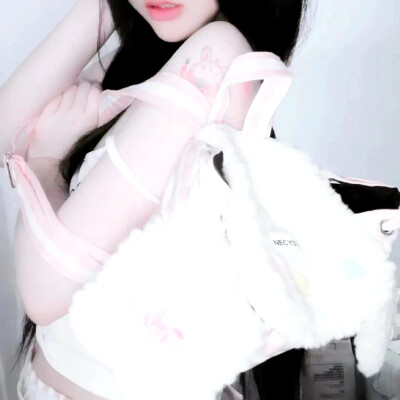 风格