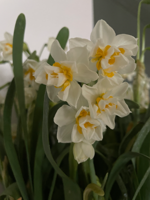 0°-花·草·树木