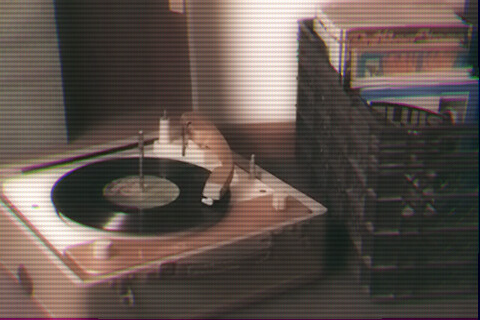 Catchwords —— “租港片.Maple Leaf”