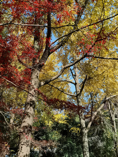 西园寺