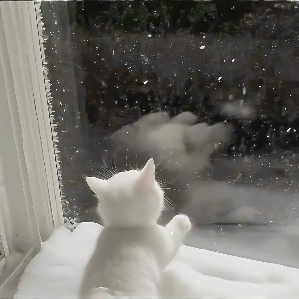 图源ks：偷喝汽水