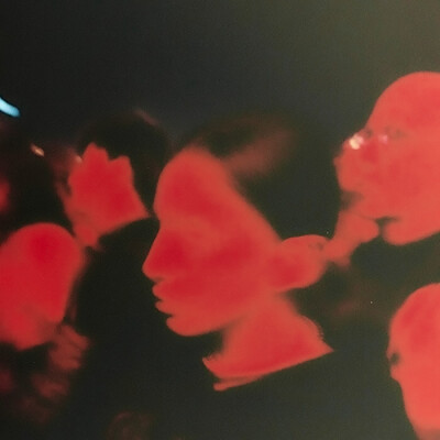 生命焰...*激しい鼓動“Blaues Blut”×肆意蔓延