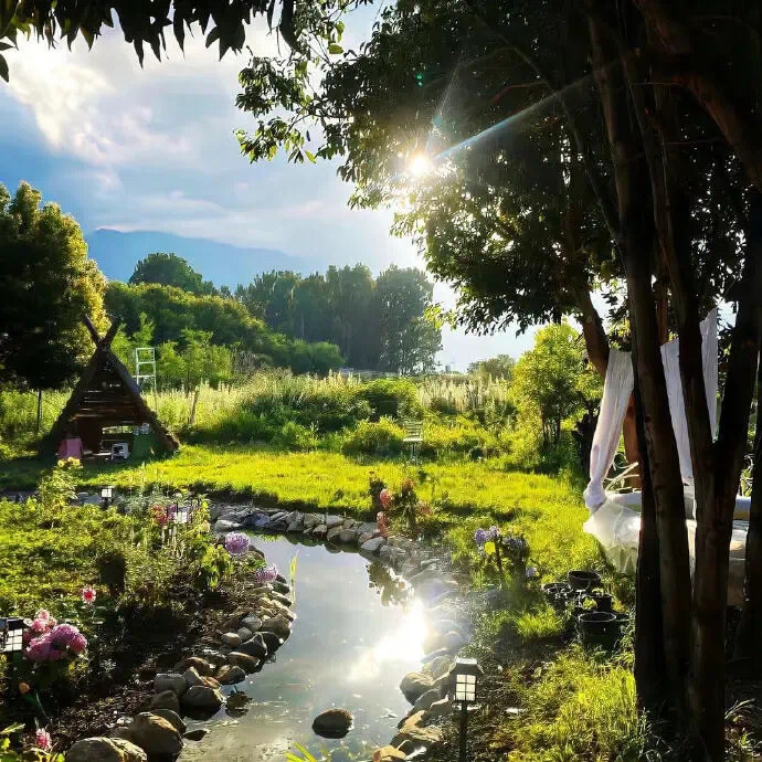 早春朋友圈搭配
与春眠