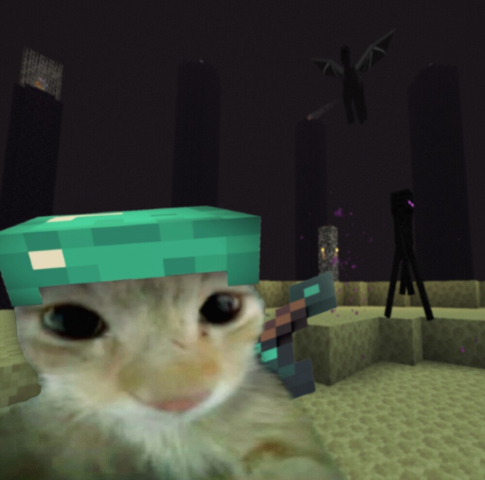 (>^ω^<)