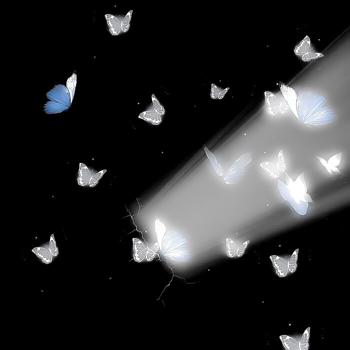 ：車窗外的雨滴