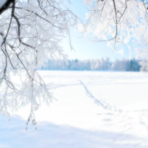 源於這風雪天