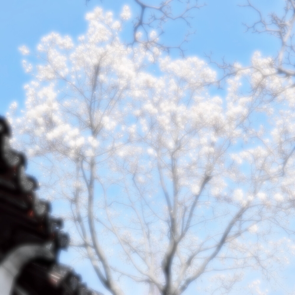 ˚❅ ₊ •冬に抱き合う :⑅