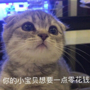 表情包