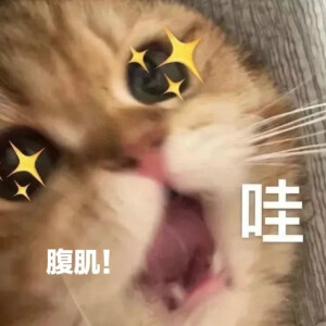 表情包