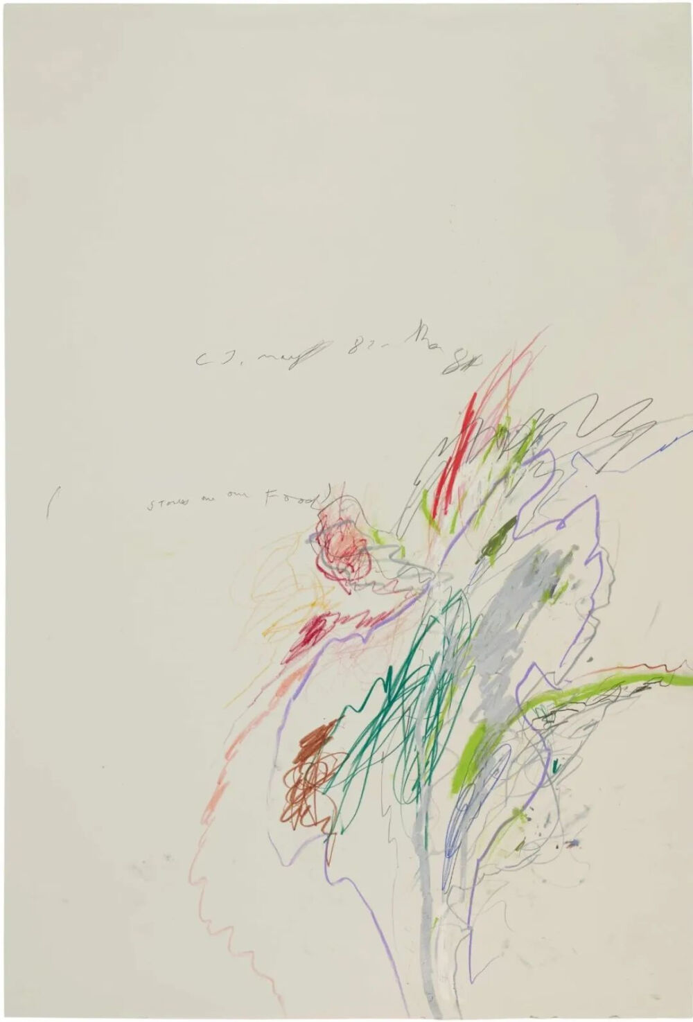 Untitled,1982-84,Oil,wax crayon,
colored pencil and graphite on paper,113x76.2cm
