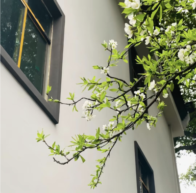 背景