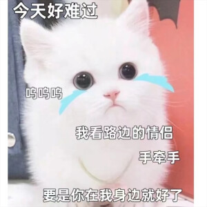 表情包