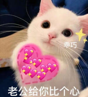 表情包
