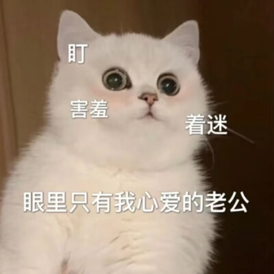 表情包